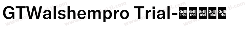 GTWalshempro Trial字体转换